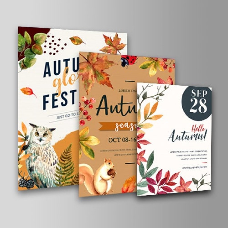 Card Stock 24pt (Display Boards)