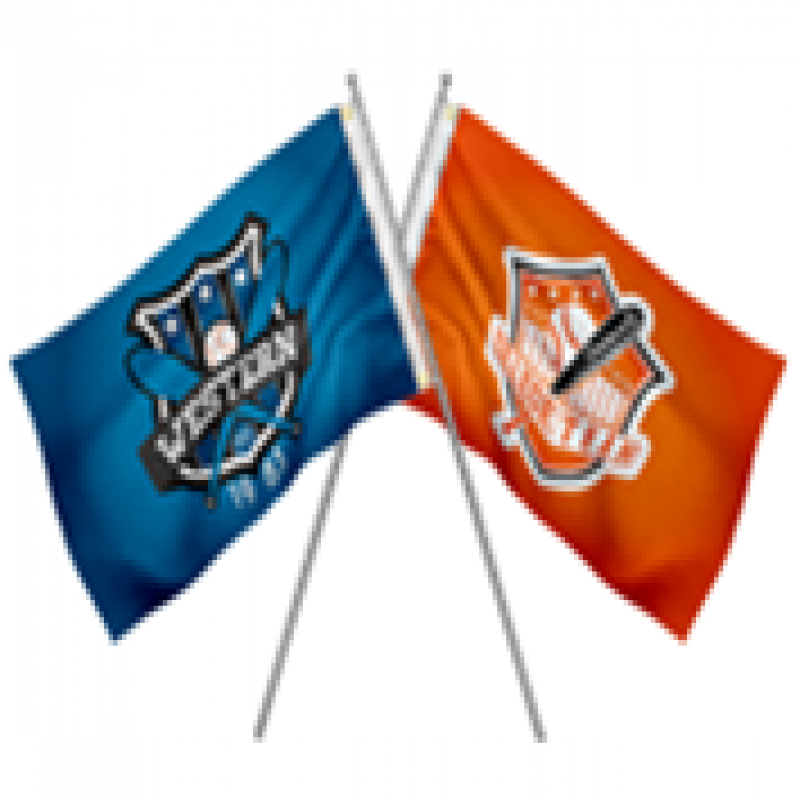 Pole Flags single-sided