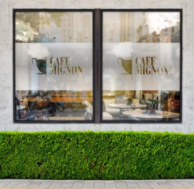 1706403663Frosted_Decal