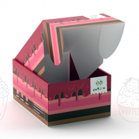 Self Locking Tray with Hinged Lid_1