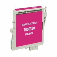 Epson -CEPS-T060320-PT_1